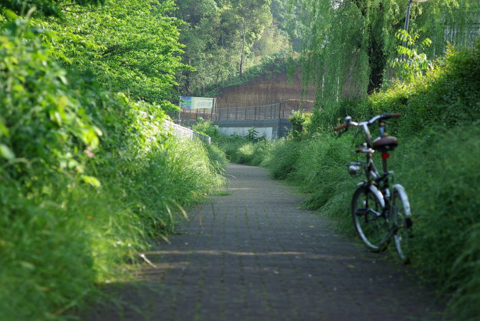b0120979_15391232.jpg
