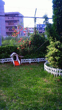 c0107180_15361438.jpg