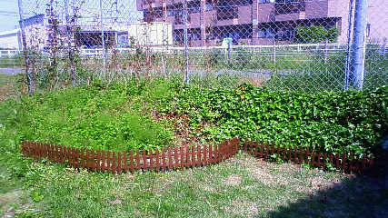 c0107180_15364694.jpg