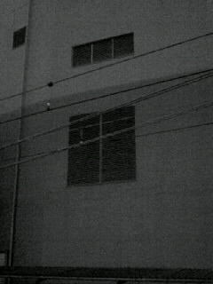 f0100480_19312193.jpg