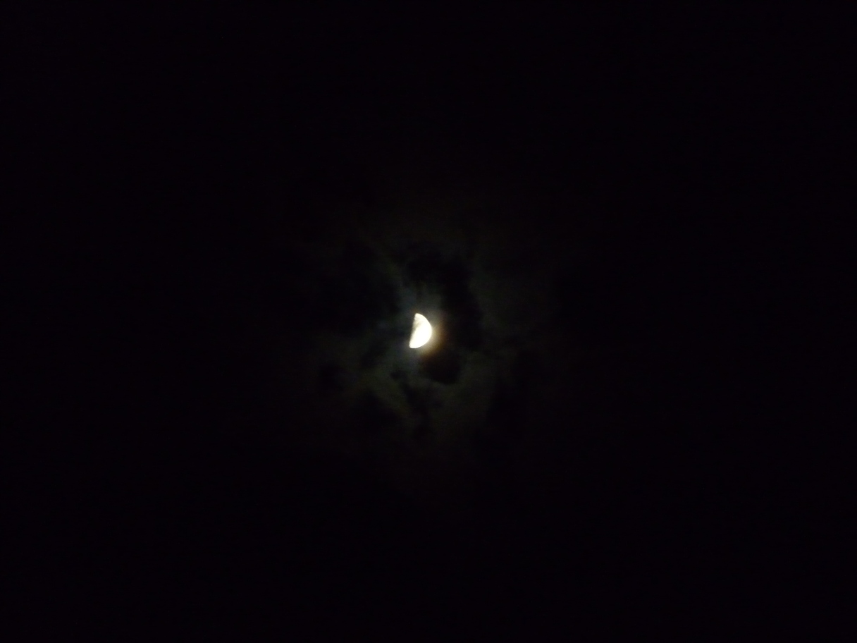 f0221382_7174980.jpg