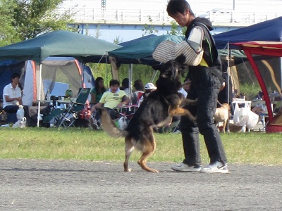 e0121583_21381827.jpg
