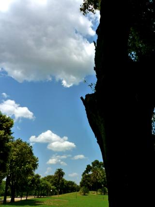 c0220786_6491662.jpg