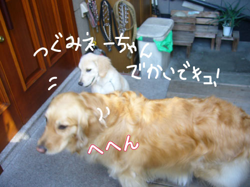 c0085188_13201173.jpg