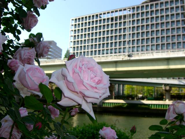 f0201488_23201449.jpg