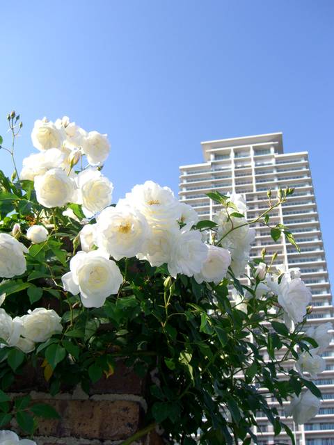 f0201488_23212315.jpg