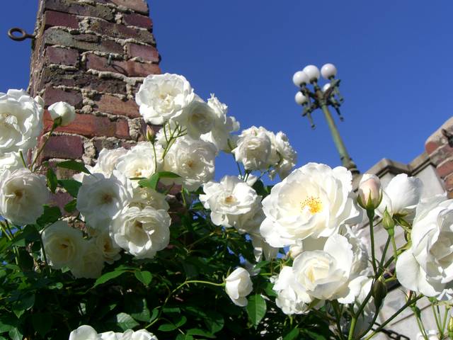 f0201488_23222953.jpg