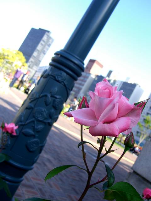 f0201488_23225032.jpg