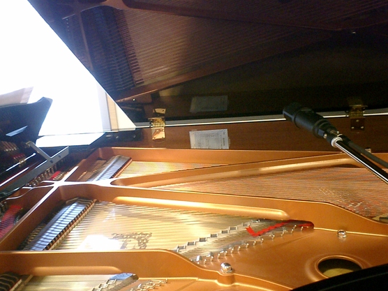 c0225489_207254.jpg