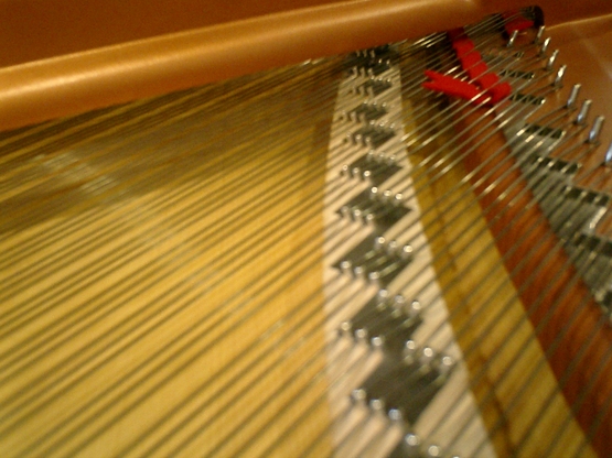 c0225489_2081244.jpg