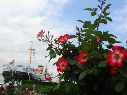 d0125890_18114465.jpg