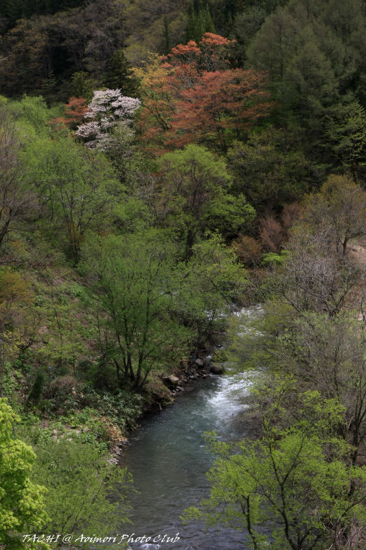 d0027893_5362156.jpg