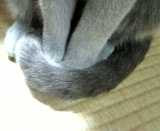 e0115693_17525999.jpg
