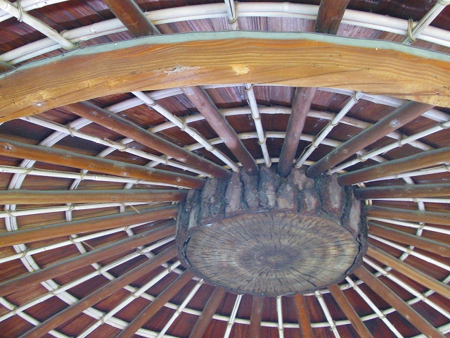 f0181394_1454373.jpg