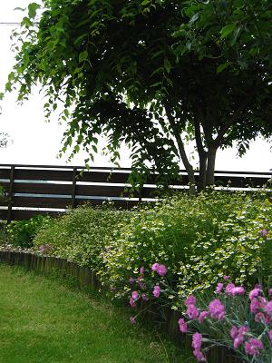 c0118495_22281330.jpg