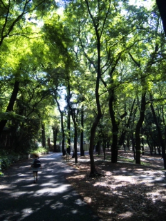 e0022298_23455338.jpg