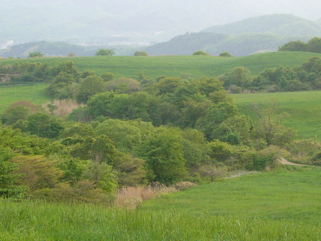 b0050305_7141188.jpg