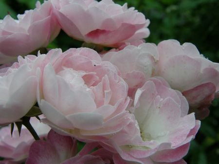 b0061107_2304060.jpg