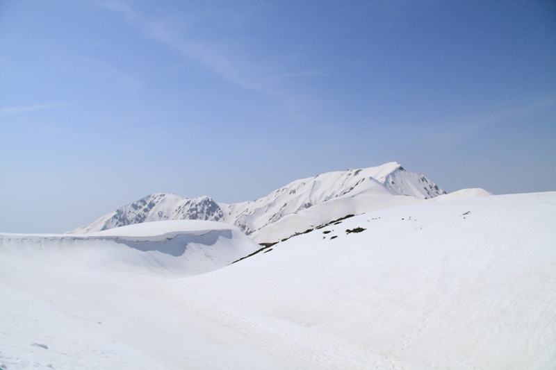 b0180907_2149147.jpg