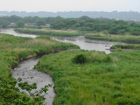 e0123808_1425156.jpg