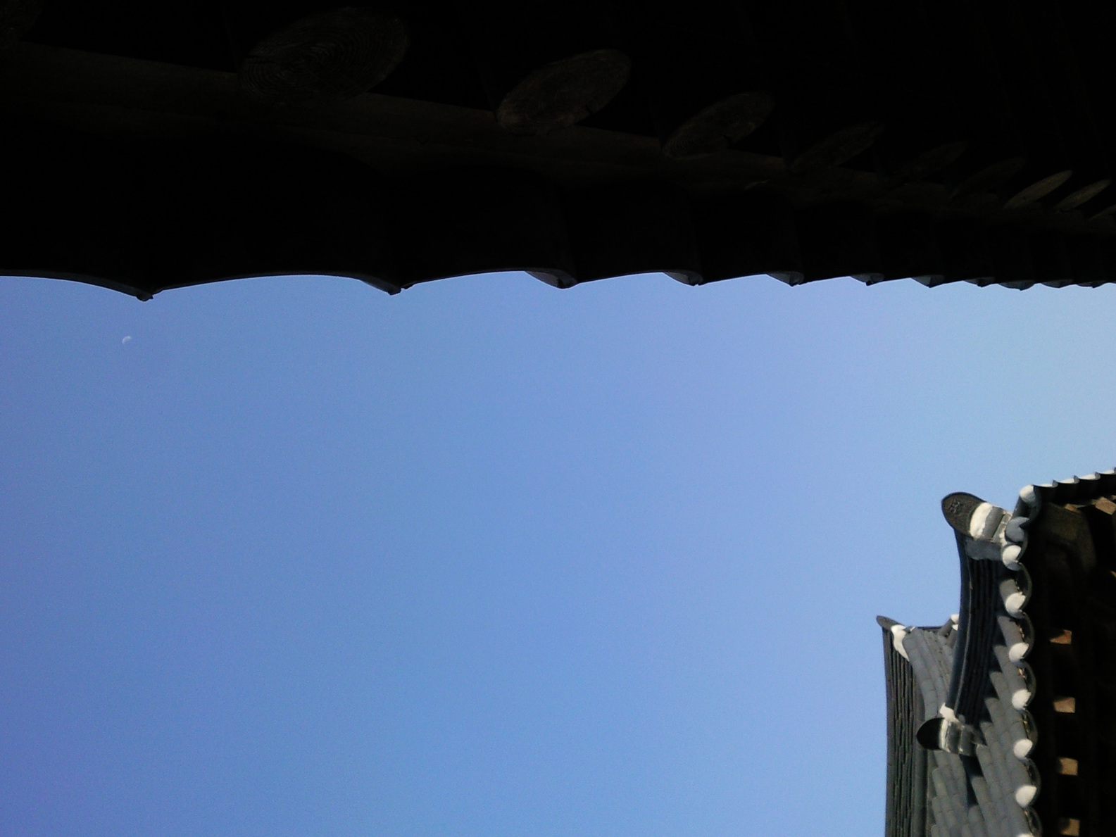 a0101715_13225771.jpg