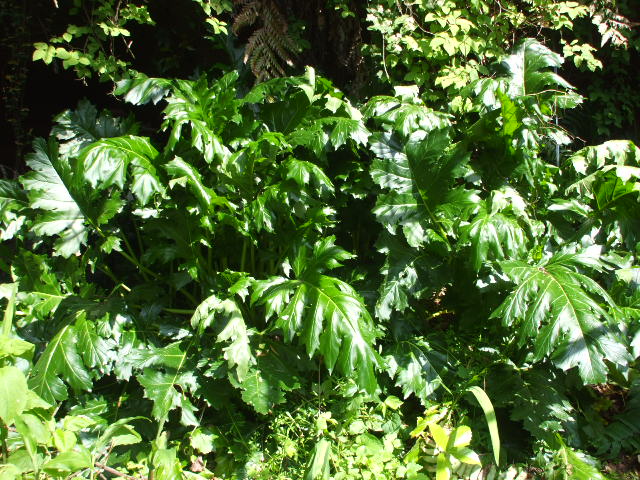 b0096418_8552279.jpg