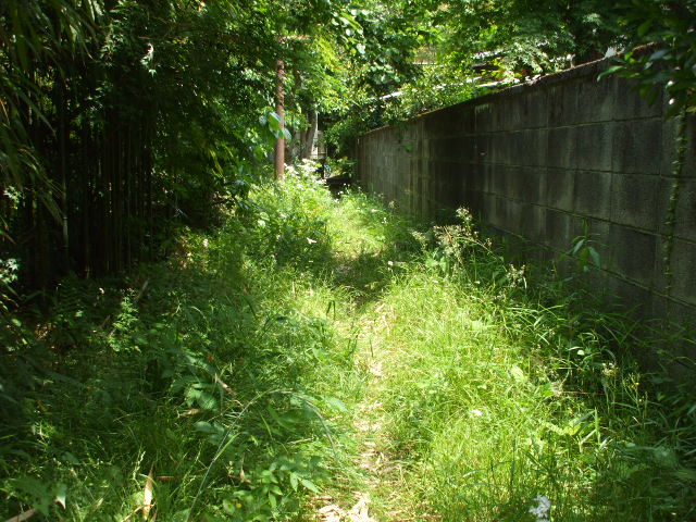 b0096418_92311.jpg