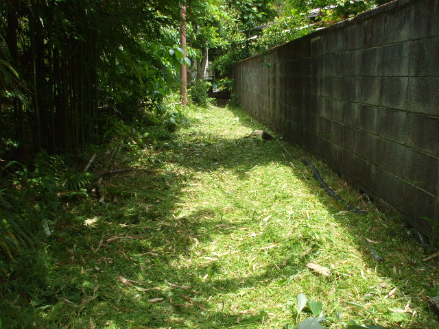 b0096418_944172.jpg