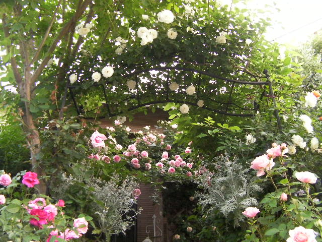 c0204121_1328159.jpg