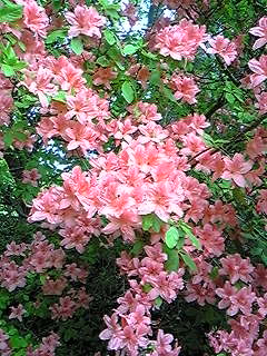 f0028123_21404835.jpg