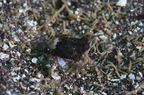 f0206424_124535.jpg