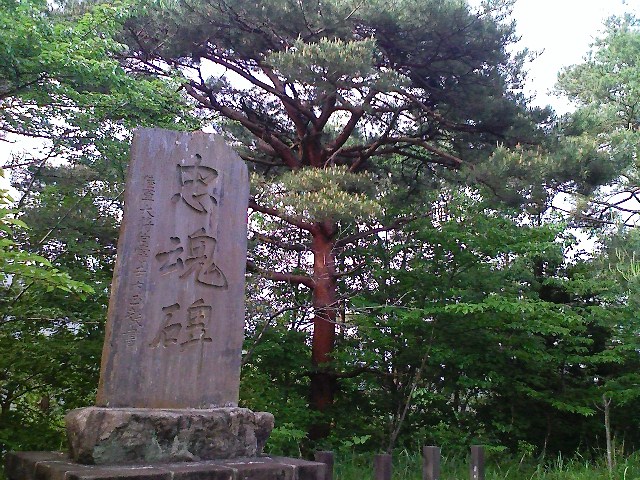 b0184725_285021.jpg