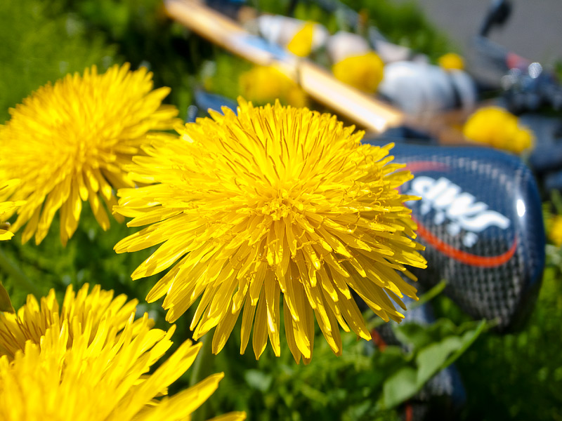 b0085526_19234494.jpg