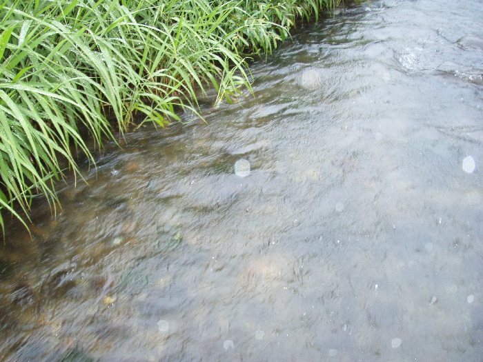 f0103126_17472566.jpg