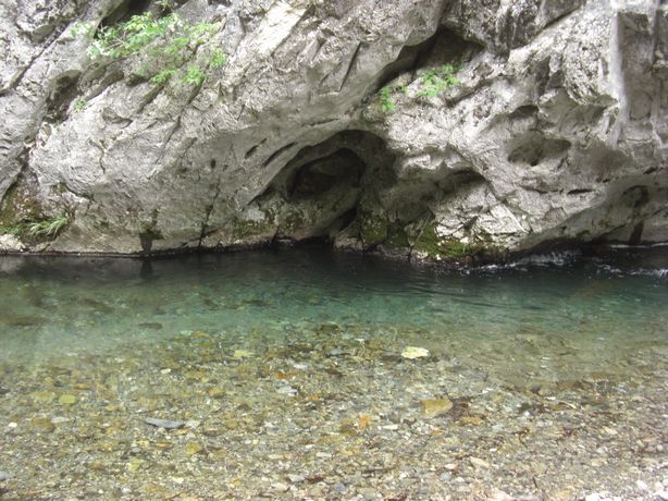 e0142430_120521.jpg