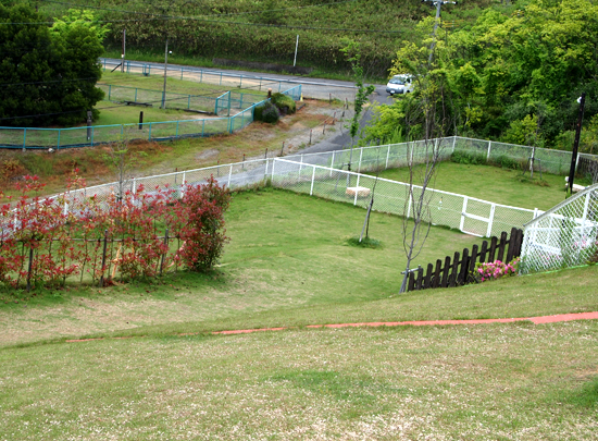 c0117831_16333264.jpg