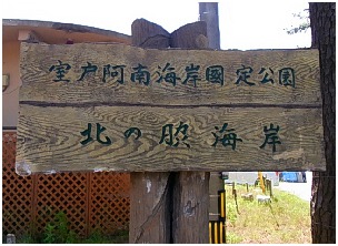 d0017632_229358.jpg