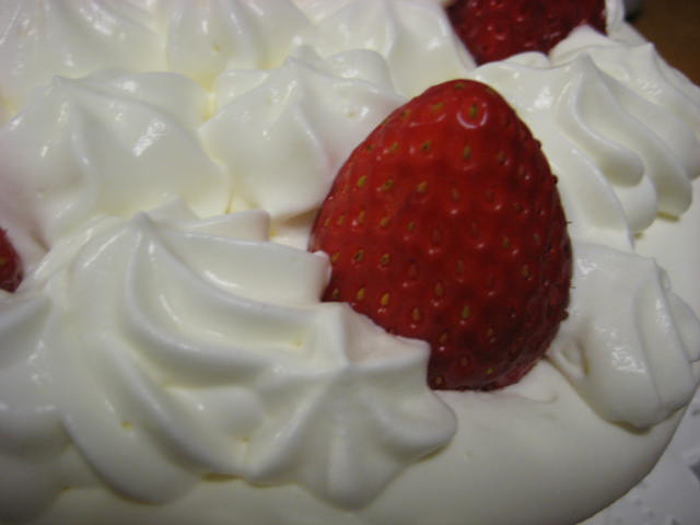 e0166032_211496.jpg
