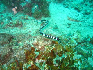 b0003235_18521968.jpg