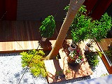 e0178935_1652291.jpg