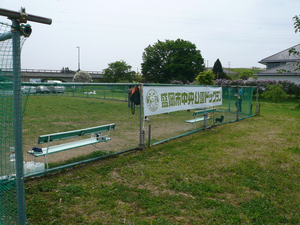 d0156438_12193620.jpg