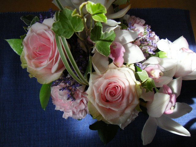 d0100239_04087.jpg