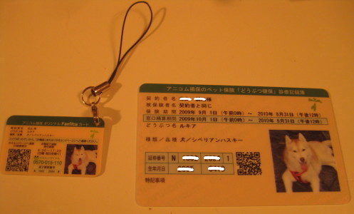 e0121548_2004756.jpg