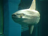 f0235148_222275.jpg