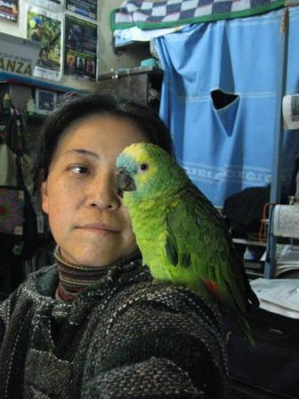 佐野まり　Mari Sano