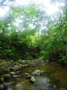 c0200150_21195291.jpg