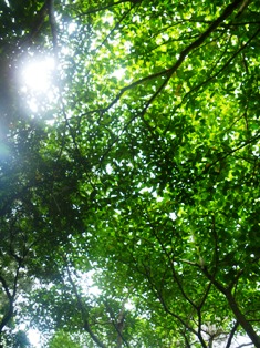 c0200150_21205281.jpg