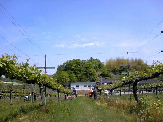 f0234452_23362417.jpg