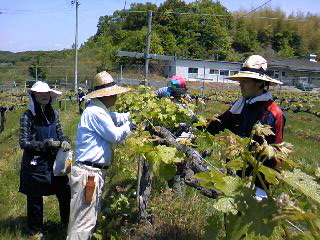 f0234452_2341297.jpg