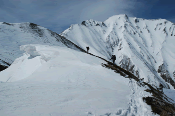 a0044453_10313775.gif